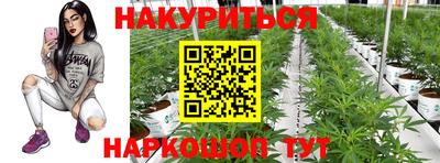 дурь Кимры