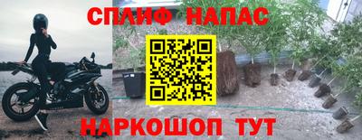 кокаин Кингисепп