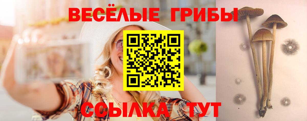 как найти закладки  Псилоцибиновые грибы Magic Shrooms  Вход с VPN  Соликамск 